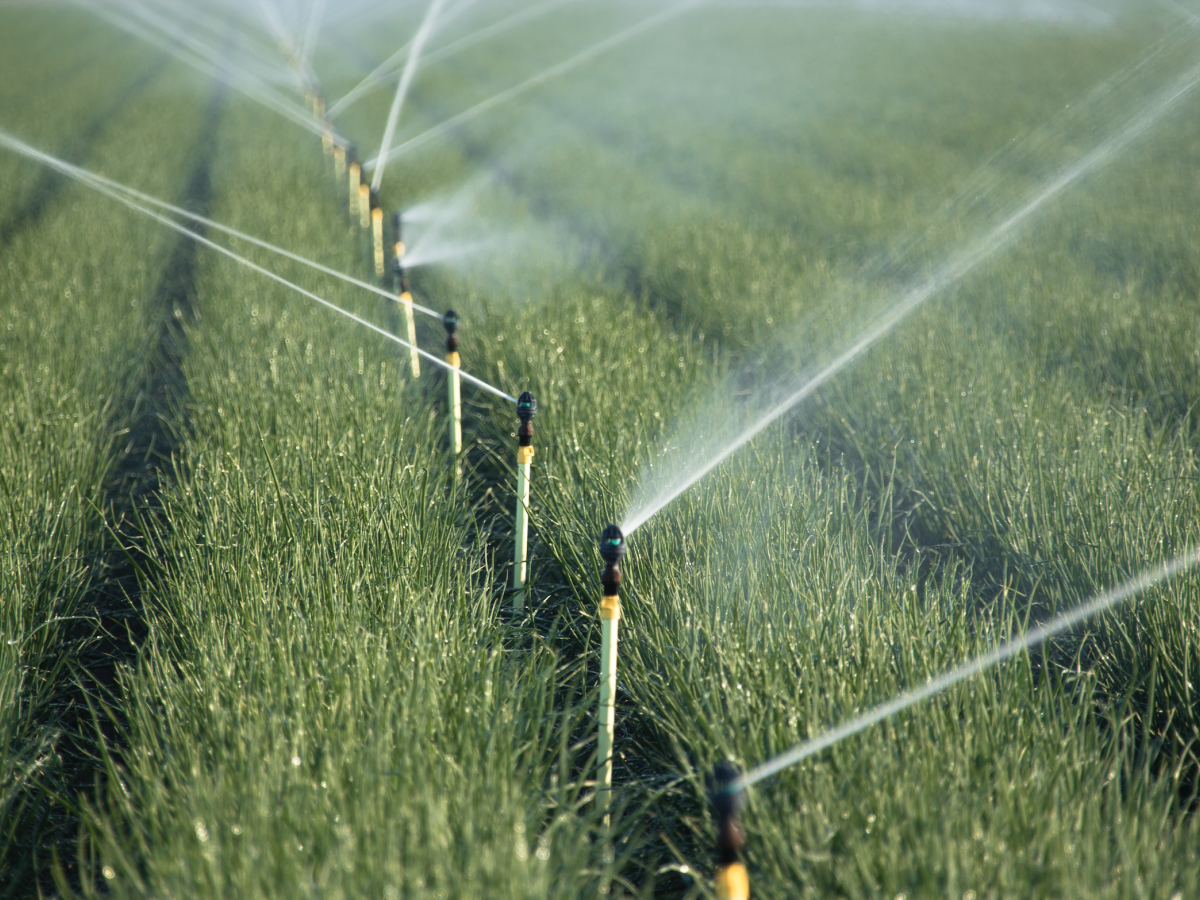 Certa-Set Sprinkler